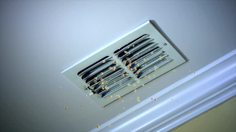 Best Professional Duct Cleaning Services  in Kingston, TN