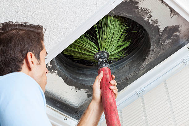 Best Air Vent Cleaning Services  in Kingston, TN